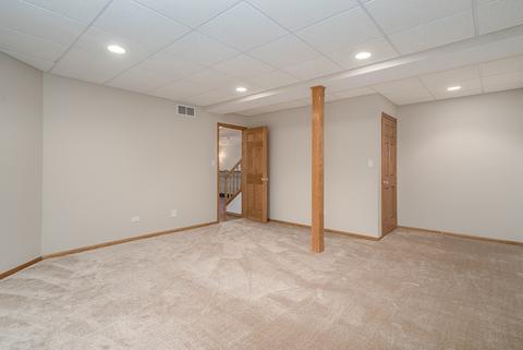 23762 Douglas Dr, Plainfield, IL 60585 photo 33