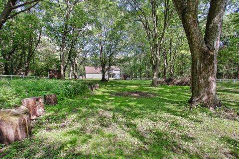 13340 Maple Ave, Lemont, IL 60439 photo 17