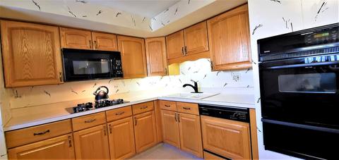 9251 Dee Rd, Des Plaines, IL 60016 photo 4