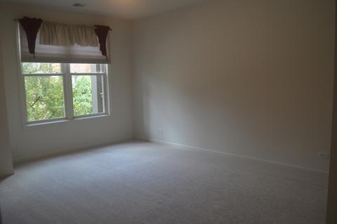 267 E Railroad Ave #101, Bartlett, IL 60103 photo 9