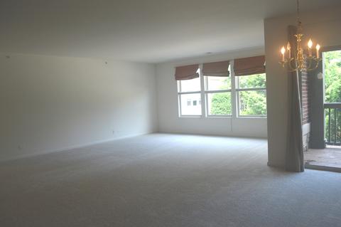267 E Railroad Ave #101, Bartlett, IL 60103 photo 16
