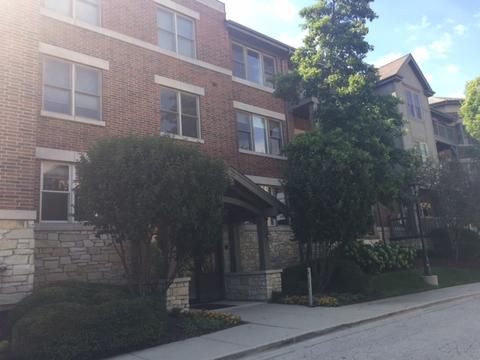 267 E Railroad Ave #101, Bartlett, IL 60103 photo 2