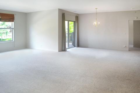 267 E Railroad Ave #101, Bartlett, IL 60103 photo 6