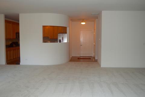 267 E Railroad Ave #101, Bartlett, IL 60103 photo 18