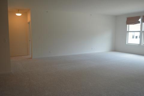 267 E Railroad Ave #101, Bartlett, IL 60103 photo 12