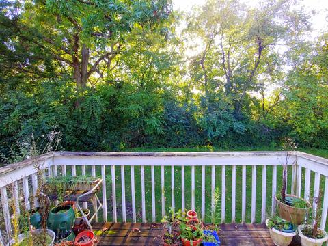 46 Pine Cir, Cary, IL 60013 photo 23