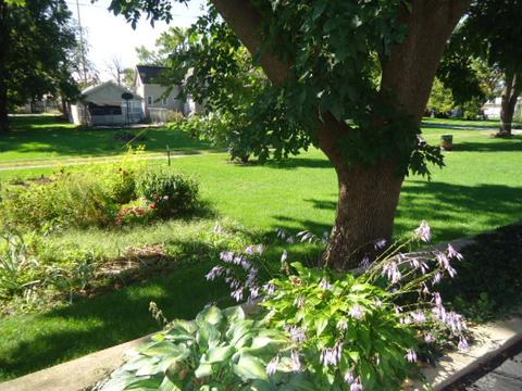 203 E 4th St, Gridley, IL 61744 photo 36