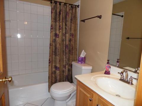 5027 Spring Rd, Mchenry, IL 60050 photo 30