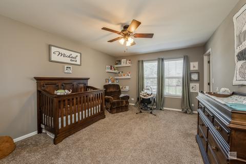 3618 Blake St, Plano, IL 60545 photo 24