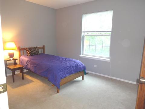 1314 Silver Cir, Bartlett, IL 60103 photo 21