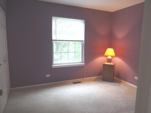 1314 Silver Cir, Bartlett, IL 60103 photo 20