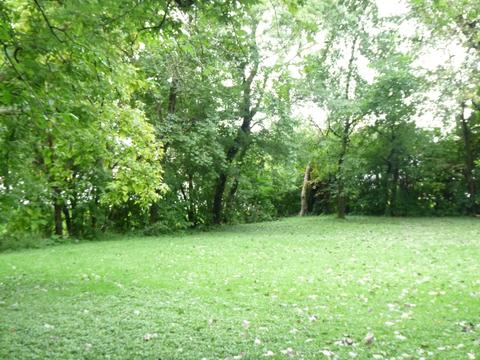 7225 W 73rd St, Bridgeview, IL 60455 photo 10
