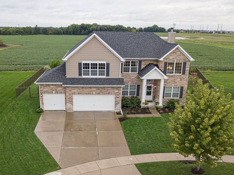 334 Frontier Ct, Minooka, IL 60447 photo 2