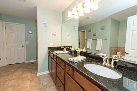 334 Frontier Ct, Minooka, IL 60447 photo 19