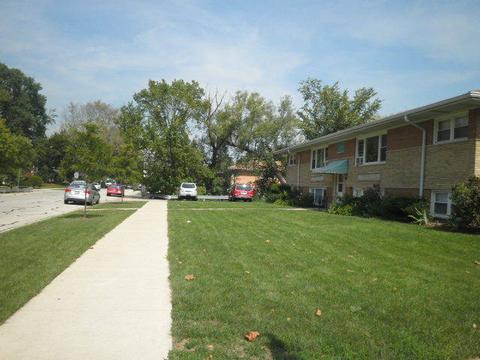 224 W Michael Ln, Addison, IL 60101 photo 5