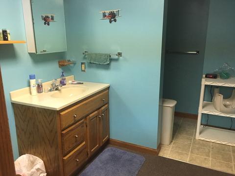 4492 E 250th Rd, Mendota, IL 61342 photo 12