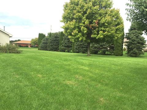 4492 E 250th Rd, Mendota, IL 61342 photo 17