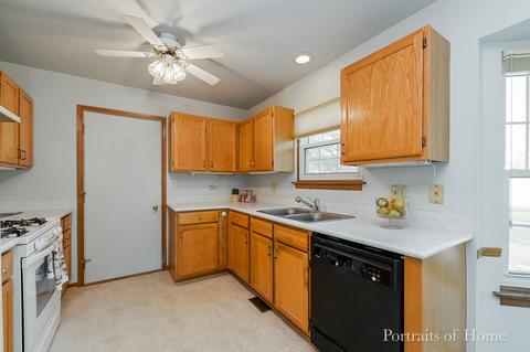 21229 Silktree Cir, Plainfield, IL 60544 photo 3