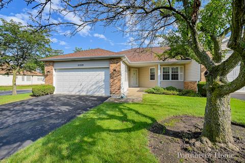 21229 Silktree Cir, Plainfield, IL 60544 photo 1