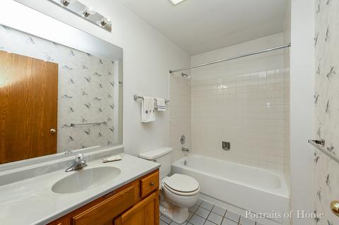 21229 Silktree Cir, Plainfield, IL 60544 photo 14