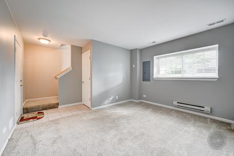 24421 John Adams Dr, Plainfield, IL 60544 photo 19