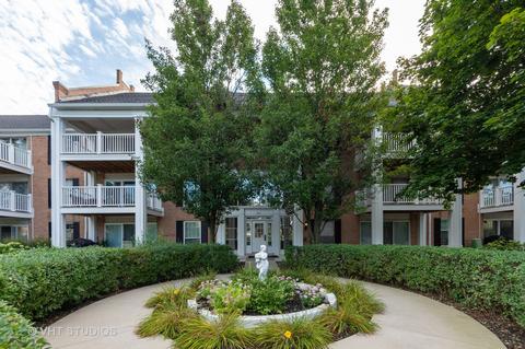 5601 Carriageway Dr #210B, Rolling Meadows, IL 60008 photo 1