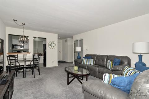 5500 Carriageway Dr #307C, Rolling Meadows, IL 60008 photo 7