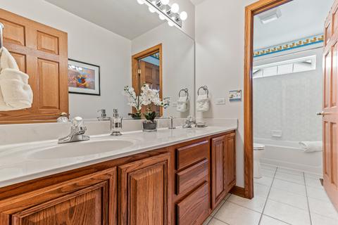 249 Willowbrook Way, Geneva, IL 60134 photo 21