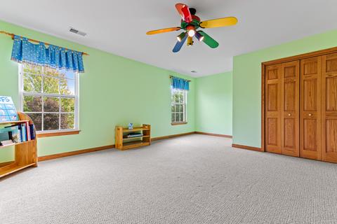 249 Willowbrook Way, Geneva, IL 60134 photo 17