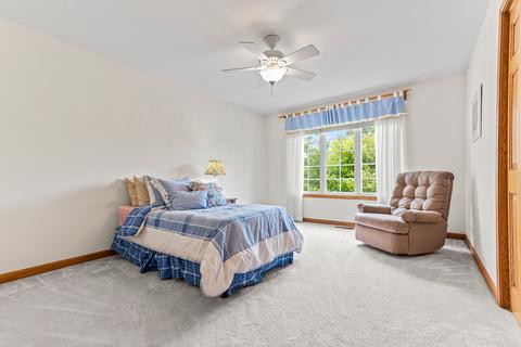 249 Willowbrook Way, Geneva, IL 60134 photo 18