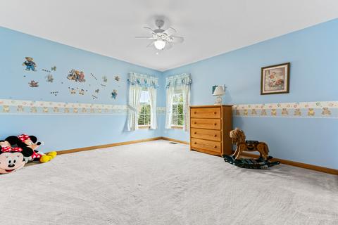 249 Willowbrook Way, Geneva, IL 60134 photo 16