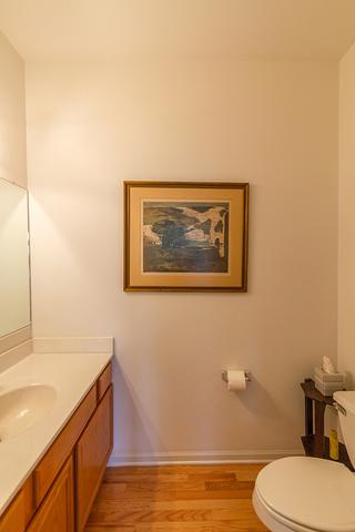 1301 Bison Ln, Hoffman Estates, IL 60192 photo 18