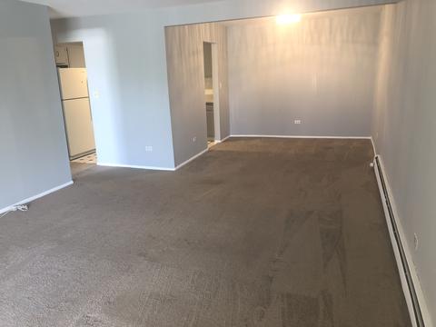 3615 E Central Rd #303, Glenview, IL 60025 photo 6