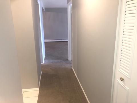 3615 E Central Rd #303, Glenview, IL 60025 photo 8