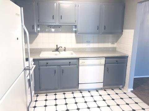 3615 E Central Rd #303, Glenview, IL 60025 photo 2