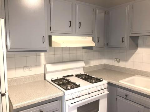 3615 E Central Rd #303, Glenview, IL 60025 photo 5