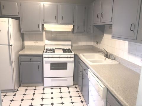 3615 E Central Rd #303, Glenview, IL 60025 photo 4
