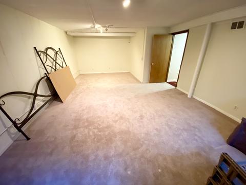 1011 Auburn Ln, Bartlett, IL 60103 photo 37