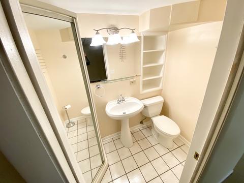 1011 Auburn Ln, Bartlett, IL 60103 photo 35