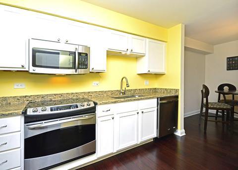 3825 W Devon Ave #101, Chicago, IL 60659 photo 5