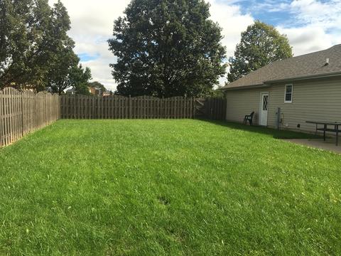 1010 W 3rd St, Spring Valley, IL 61362 photo 17