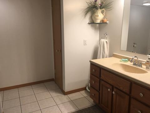 1010 W 3rd St, Spring Valley, IL 61362 photo 15