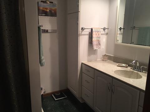 1010 W 3rd St, Spring Valley, IL 61362 photo 11
