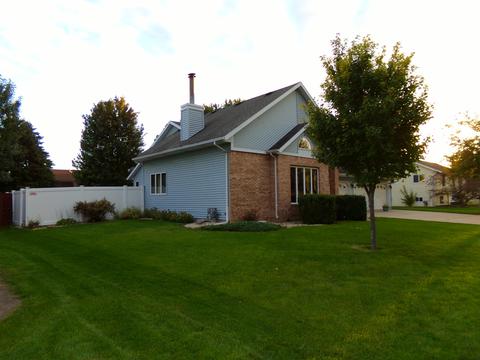 203 Scott Dr, Dwight, IL 60420 photo 25