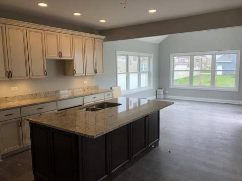 302 W Frontier Dr, Minooka, IL 60447 photo 18