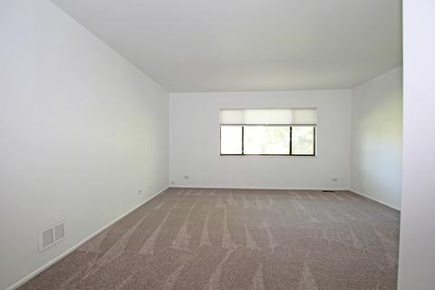 676 Circle Dr, Roselle, IL 60172 photo 13