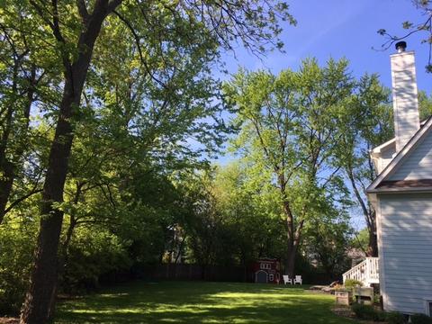 814 Becker Rd, Glenview, IL 60025 photo 39