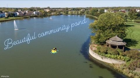 20865 W Ames Ct, Plainfield, IL 60544 photo 19