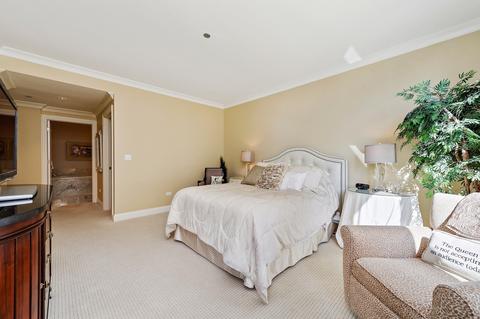 10 E Delaware Pl #19D, Chicago, IL 60611 photo 17