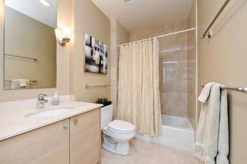 10 E Delaware Pl #19D, Chicago, IL 60611 photo 24